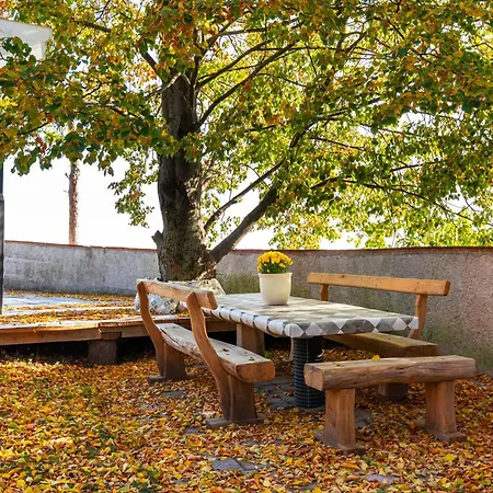 Forest View - Sauna & Nature Escape Apartment