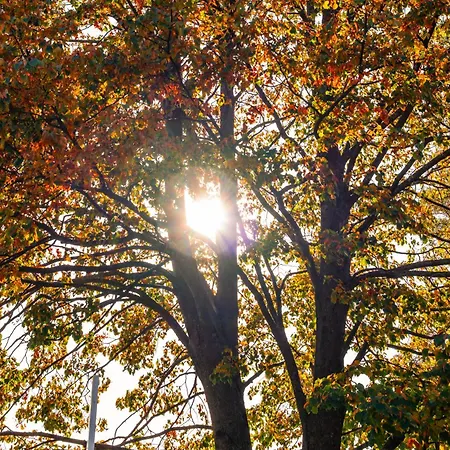Forest View - Sauna & Nature Escape Slovenska Bistrica