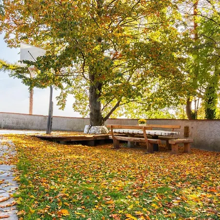 Forest View Retreat - Nature Escape