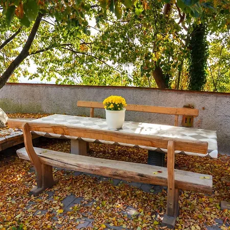 Forest View Retreat - Nature Escape Slovenska Bistrica