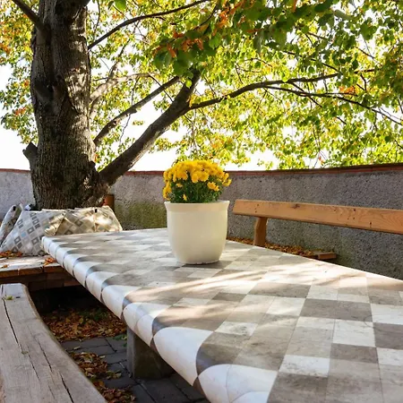 Forest View Retreat - Nature Escape