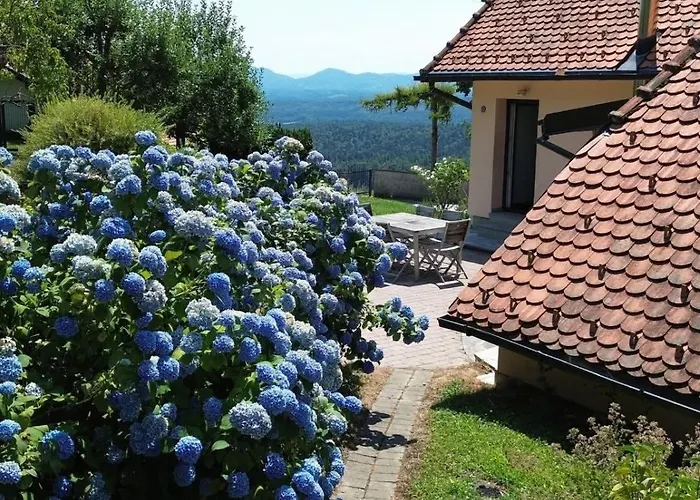 Apartment Forest View - Sauna & Nature Escape *