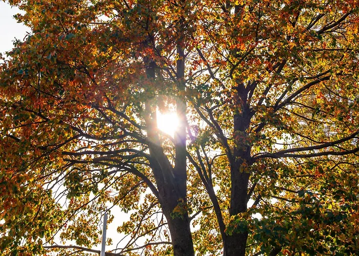 Forest View - Sauna & Nature Escape Slovenska Bistrica